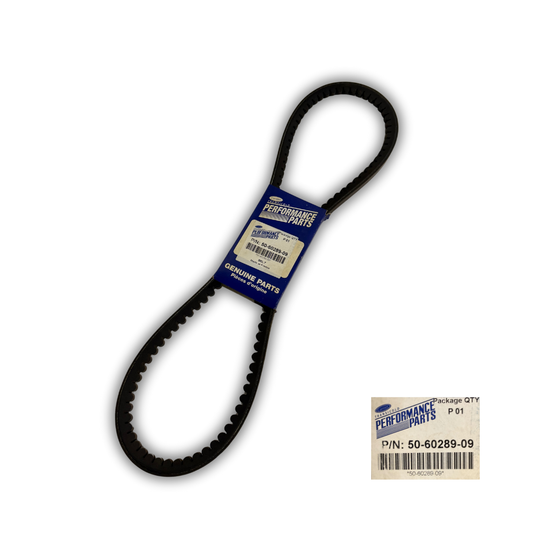 50-60289-09 / Belt Compressor / Electric Motor