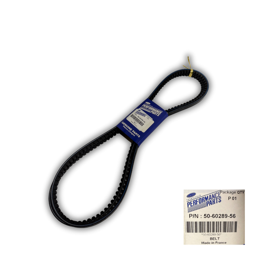 50-60289-56 / Belt: electric engine - compressor / SUPRA 950 / 1250CITY/1250MT / 1150U MT